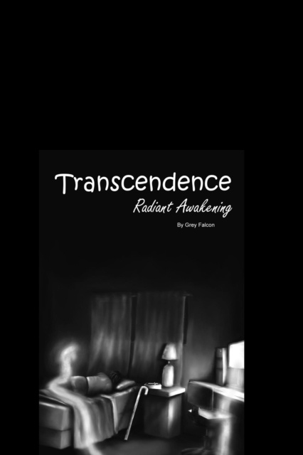 E-knjiga Transcendence Grey Falcon
