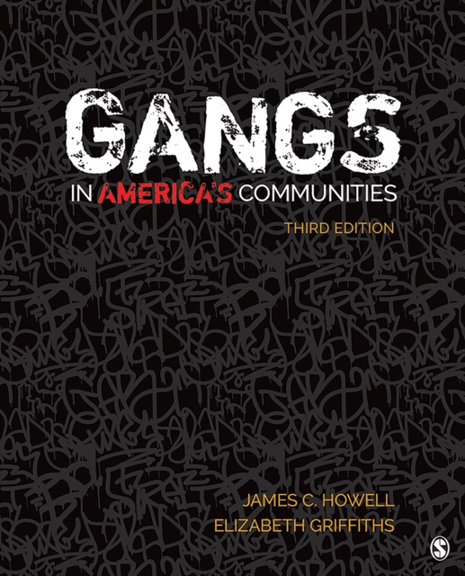 E-book Gangs in America's Communities James C. Howell