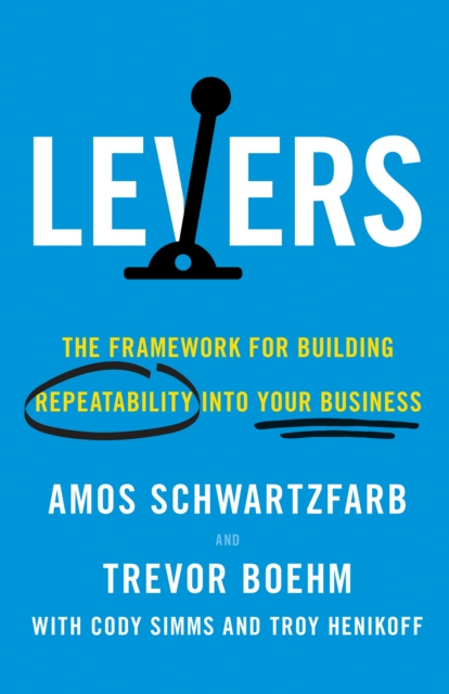 E-knjiga Levers Amos Schwartzfarb