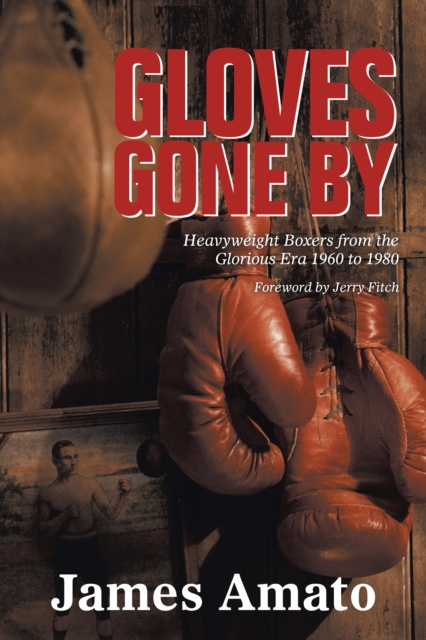 E-knjiga Gloves Gone By James Amato