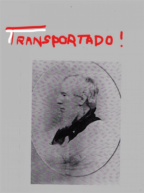 E-book Transportado Terry Rachelle Spring