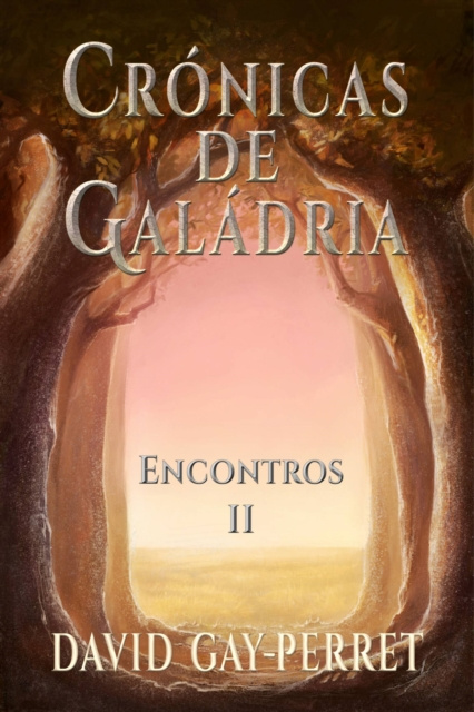 E-kniha Cronicas de Galadria II - Encontros David Gay-Perret