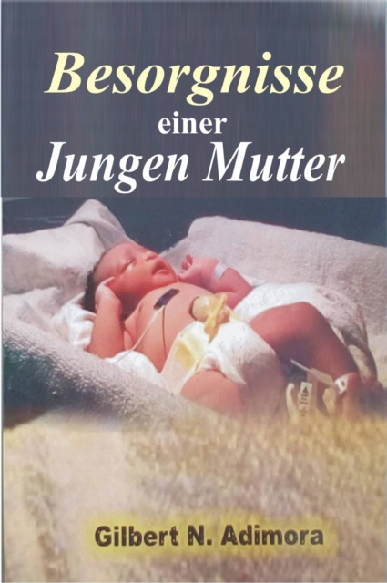 E-kniha Besorgnisse einer jungen Mutter Gilbert N. Adimora