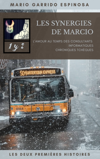 E-book Les synergies de Marcio 1 et 2 Mario Garrido Espinosa