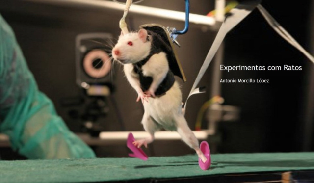 E-book Experimentos com Ratos Antonio Morcillo Lopez