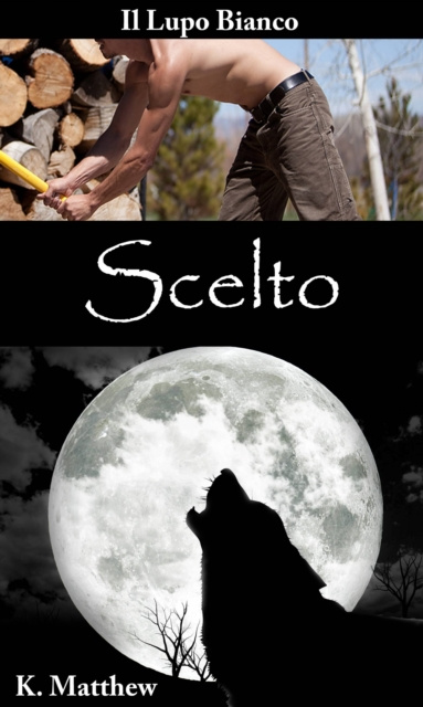 E-knjiga Scelto K. Matthew