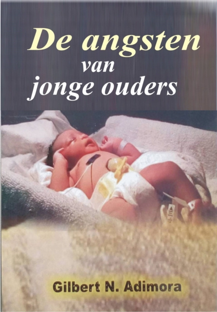 E-book De angsten van jonge ouders Gilbert N. Adimora