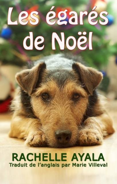 E-Book Les egares de Noel Rachelle Ayala