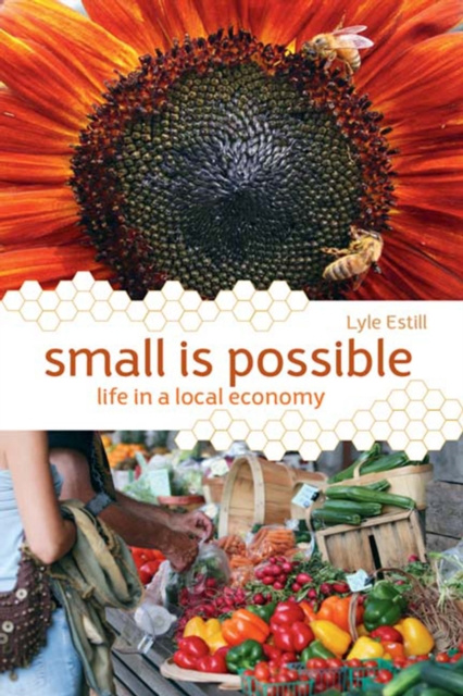 E-knjiga Small is Possible Lyle Estill