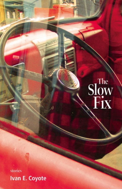 E-Book Slow Fix Ivan Coyote