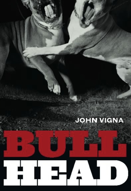 E-knjiga Bull Head John Vigna