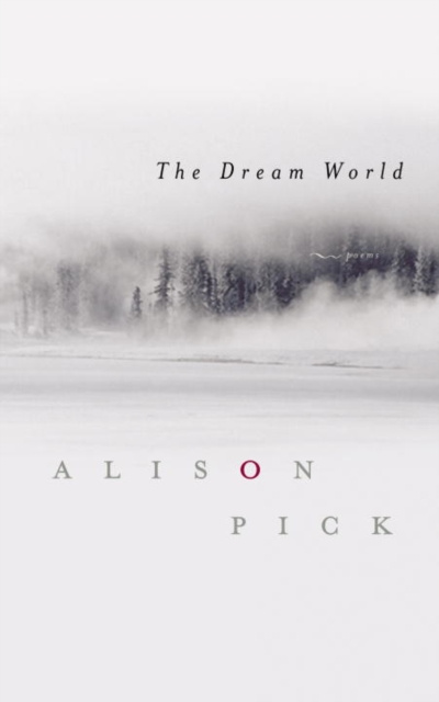 E-knjiga Dream World Alison Pick