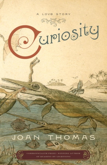 E-book Curiosity Joan Thomas