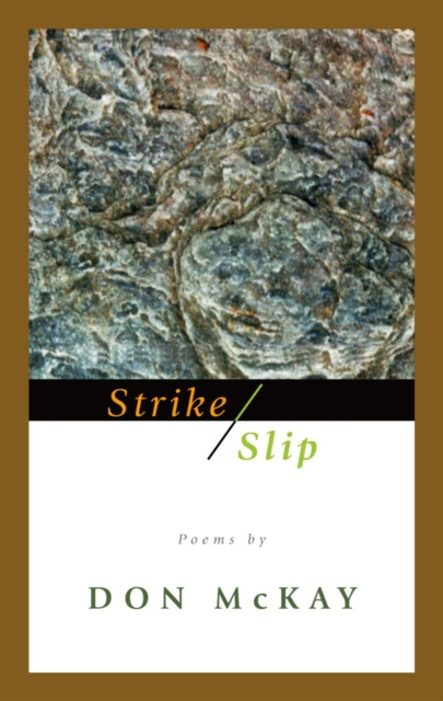 E-book Strike/Slip Don McKay