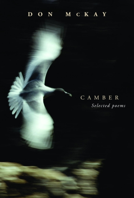 E-book Camber Don McKay