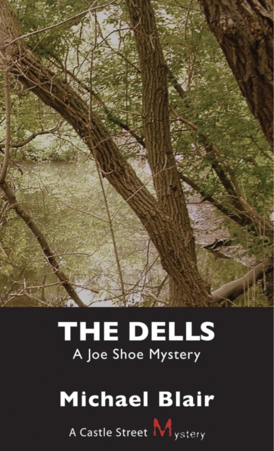 E-book Dells Michael Blair