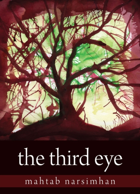 E-knjiga Third Eye Mahtab Narsimhan