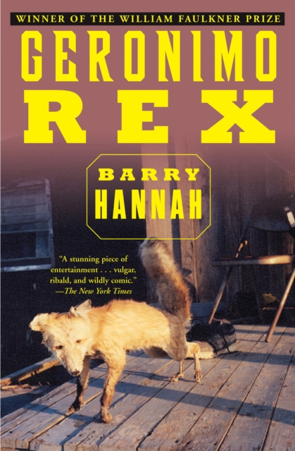 E-book Geronimo Rex Barry Hannah