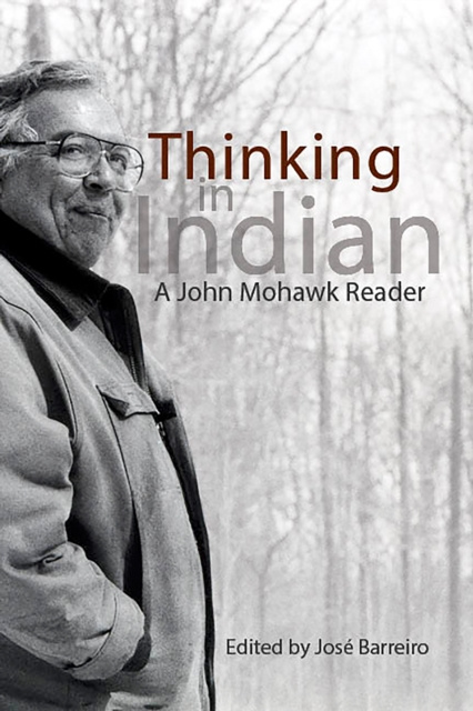 E-book Thinking in Indian Jose Barreiro