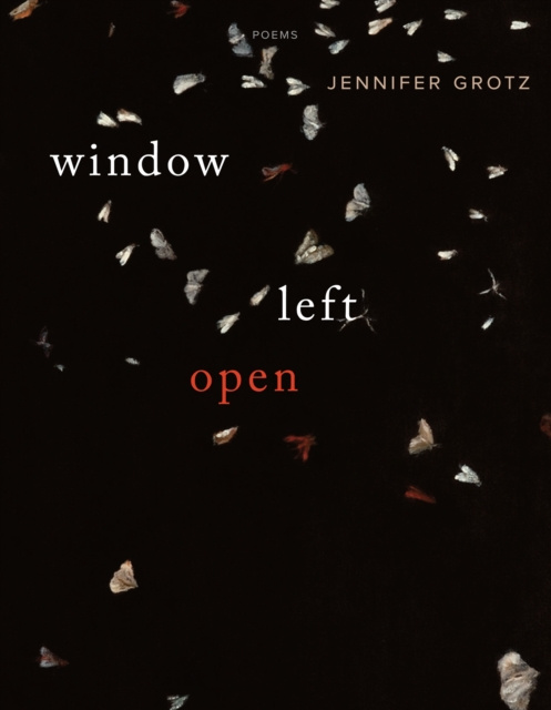 E-knjiga Window Left  Open Jennifer Grotz