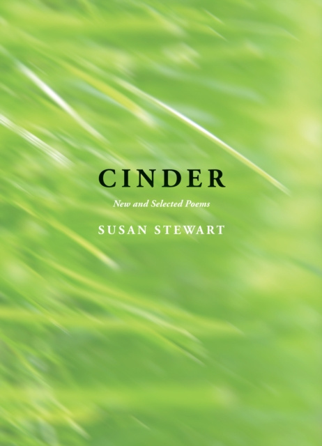 E-knjiga Cinder Susan Stewart