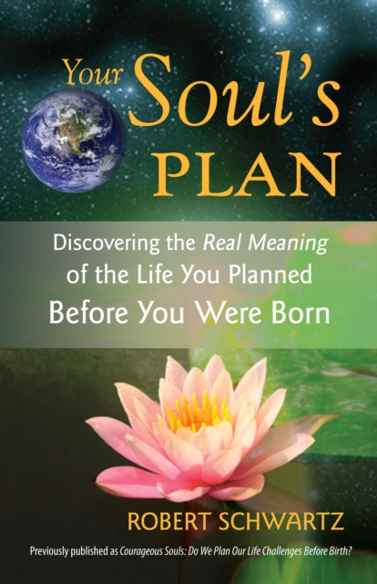 E-kniha Your Soul's Plan Robert Schwartz