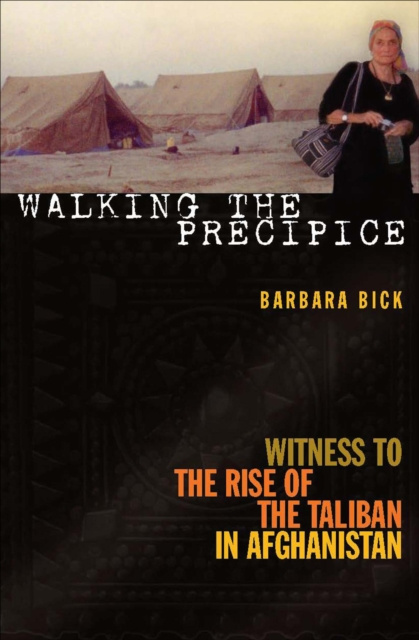 E-book Walking the Precipice Barbara Bick