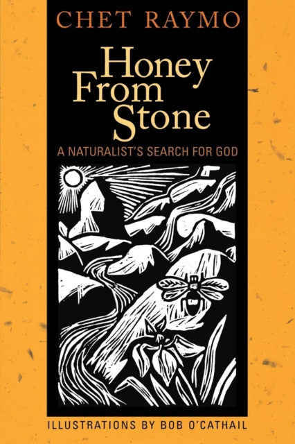 E-Book Honey from Stone Chet Raymo