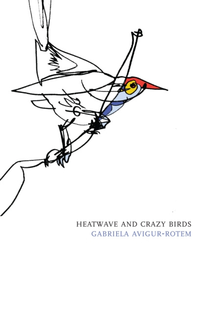 E-Book Heatwave and Crazy Birds Gabriela Avigur-Rotem