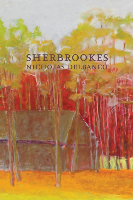 E-book Sherbrookes Nicholas Delbanco