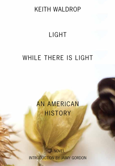 ebook Light While There Is Light Keith Waldrop