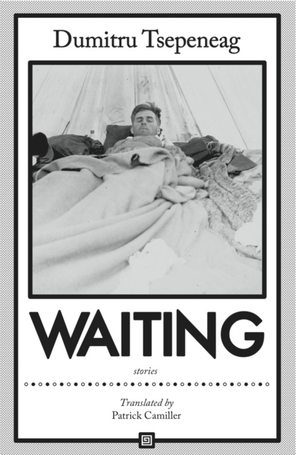 E-book Waiting: stories Dumitru Tsepeneag