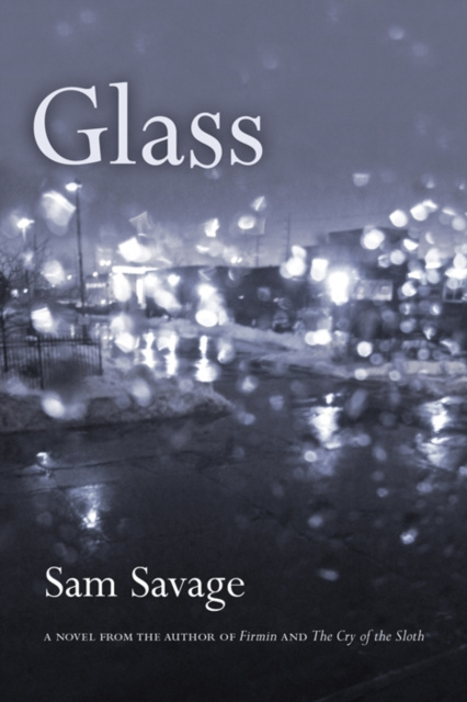 E-knjiga Glass Sam Savage
