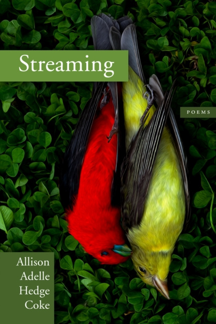 E-knjiga Streaming Allison Adelle Hedge Coke