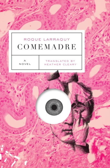E-book Comemadre Roque Larraquy