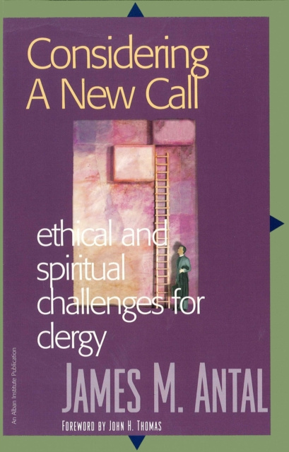E-kniha Considering a New Call James M. Antal