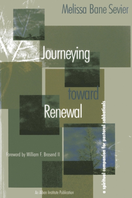 E-Book Journeying Toward Renewal Melissa Bane Sevier