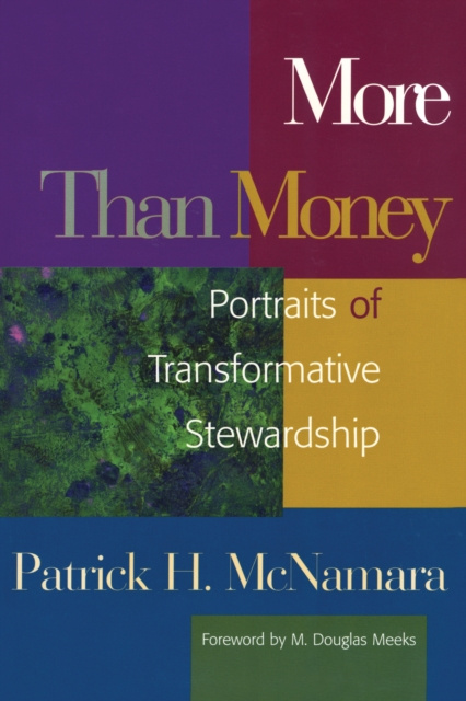 E-knjiga More Than Money Patrick H. McNamara