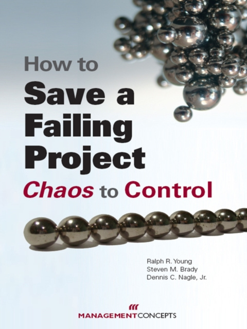 E-Book How to Save a Failing Project Ralph R. Young DBA