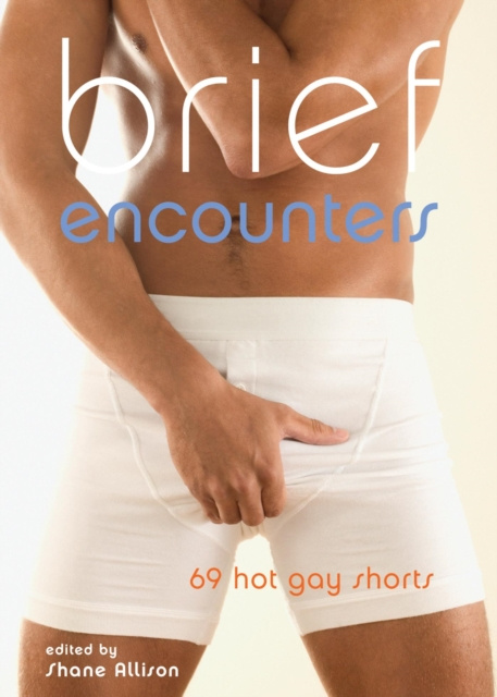 E-knjiga Brief Encounters Shane Allison