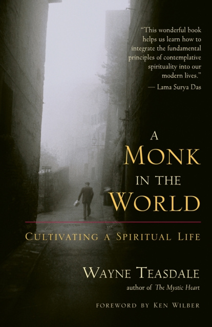 E-book Monk in the World Wayne Teasdale
