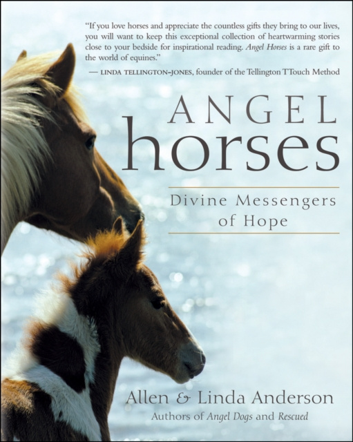 E-kniha Angel Horses Allen Anderson