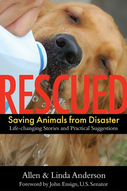E-knjiga Rescued Allen Anderson