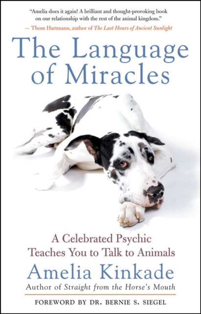 E-kniha Language of Miracles Amelia Kinkade