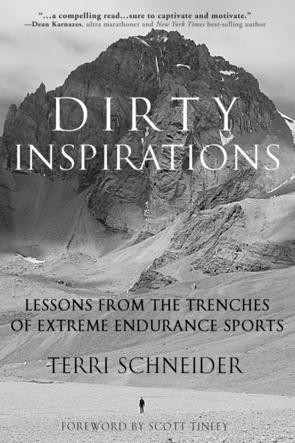 E-kniha Dirty Inspirations Terri Schneider
