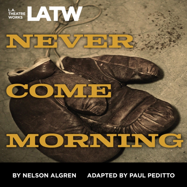 Luisterboek Never Come Morning Nelson Algren