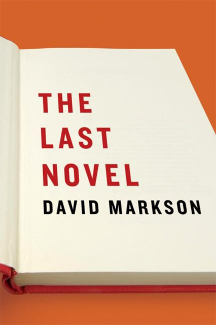 E-kniha Last Novel David Markson
