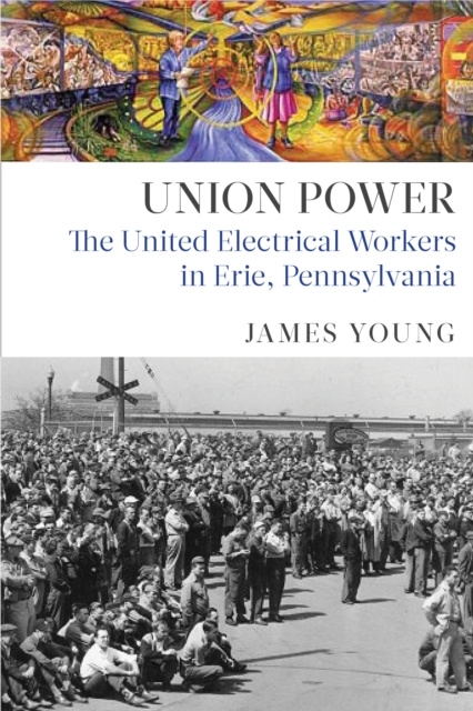 E-knjiga Union Power James Young