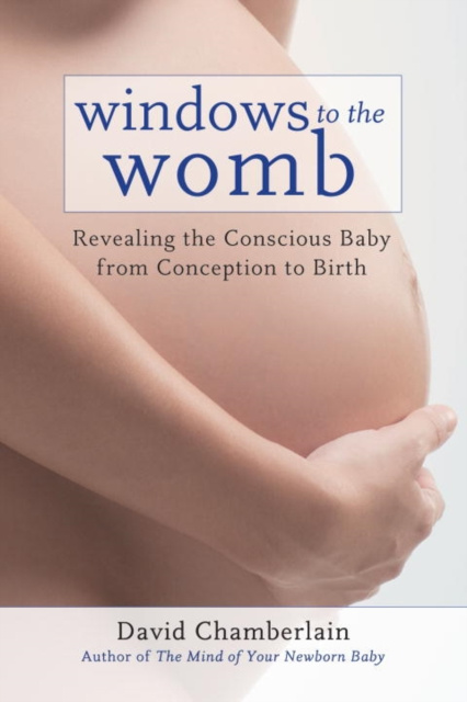 E-kniha Windows to the Womb David Chamberlain