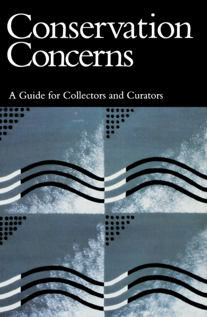 E-book Conservation Concerns Konstanze Bachmann